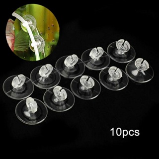 Aquarium Sucker 2.5 Cm Crystal Clear Easy To Install Fastener High Quality