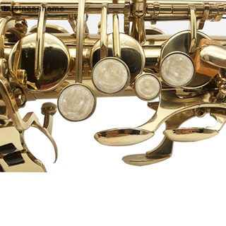 Bsth อะไหล่ปุ่มกดแซกโซโฟน พลาสติก สําหรับ Alto Tenor Soprano Sax 9 ชิ้น ต่อชุด