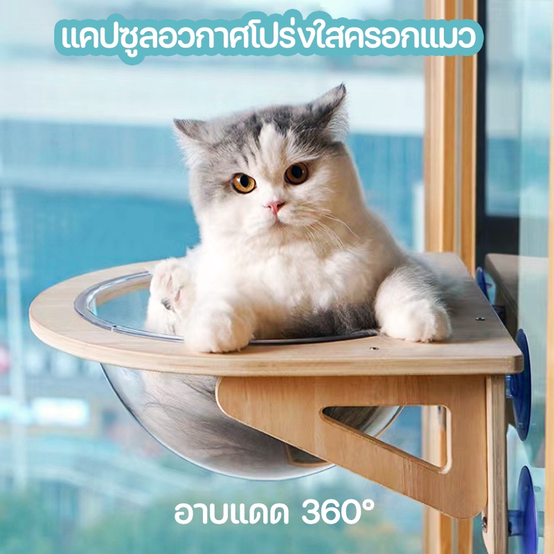 หลุมแมว-หลุมอวกาศใส-งานไม้มินิมอล-ที่นอนนอนแมวติดผนัง-พร้อมหลุมใสอะคริลิค-รับน้ำหนักได้-30-kg