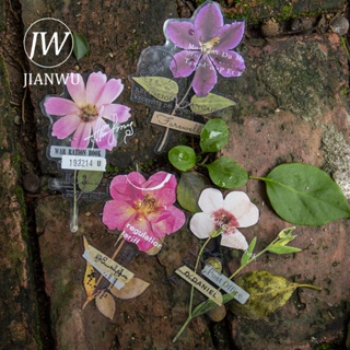 Jianwu สติกเกอร์ PET ลายดอกไม้แห้ง สไตล์วินเทจ สําหรับตกแต่งมุมเรือนกระจก เครื่องเขียน DIY 10 แผ่น