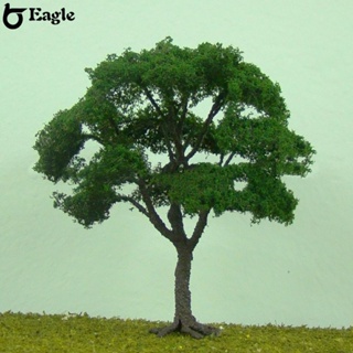 ⭐จัดส่ง 24 ชั่วโมง⭐Elm โมเดลต้นไม้จิ๋ว สีเขียว สําหรับตกแต่งภูมิทัศน์ 2 ชิ้น