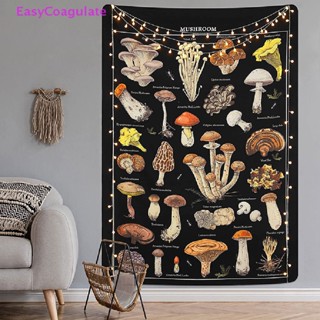 พรมตกแต่งผนัง รูปเห็ด Mycoy Champignon