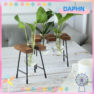 DAPHS แจกันไม้ไฮโดรโปนิก สไตล์วินเทจ สําหรับปลูกบอนไซ สวนขวด