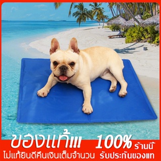 ส่งจากไทย!! Pet Cool mat ที่นอนแบบเย็น เบาะรองนอนแบบเย็นสำหรับสุนัขและแมว ที่นอนสัตว์เลี้ยง สบาย