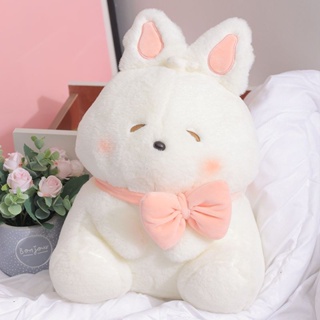 หมอนตุ๊กตากระต่ายน้อยน่ารัก สีชมพู สีขาว เหมาะกับของขวัญวันเกิด สําหรับผู้หญิง