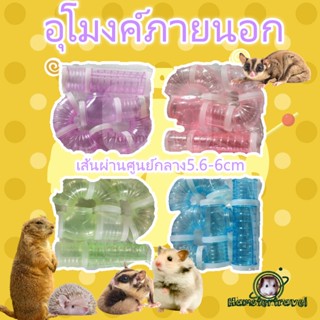 [hamstertravel] ท่อของเล่นหนูแฮมสเตอร์ท่อนอกอุโมงค์กระรอกเม่นขนาดสากลGD