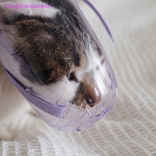 Coa ตะกร้อครอบปาก แบบใส ระบายอากาศ ป้องกันการกัด สําหรับสัตว์เลี้ยง แมว