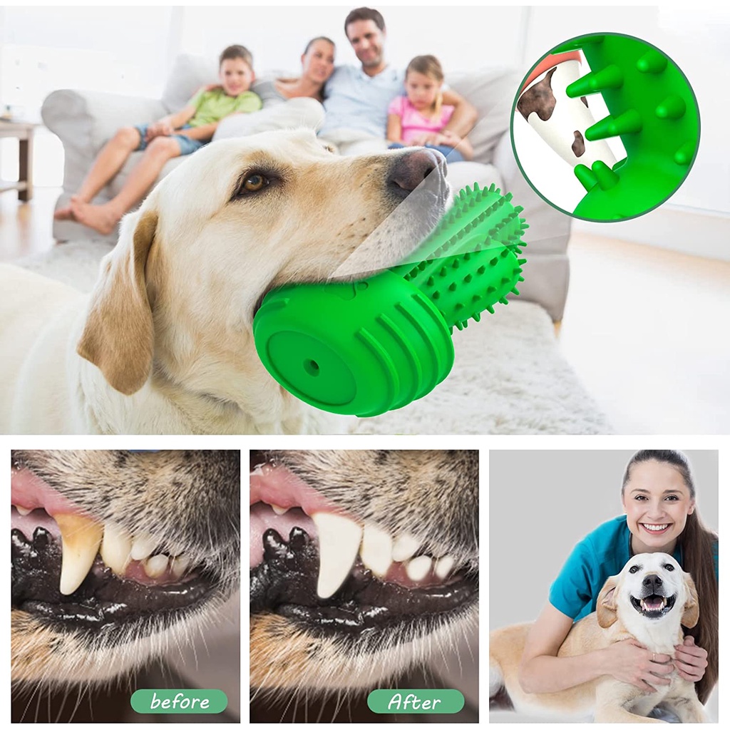 pamlulu-ชุดของเล่นเคี้ยวแปรงสีฟัน-ทําความสะอาดฟัน-ขนาดกลาง-ขนาดใหญ่-สําหรับสัตว์เลี้ยง-สุนัข