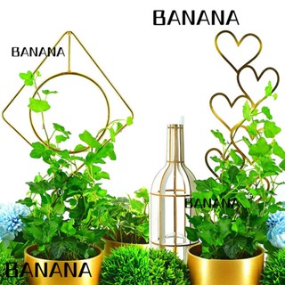 Banana1 โครงไม้เลื้อย กันฉีกขาด สําหรับปลูกต้นไม้ ดอกไม้ สวนหลังบ้าน