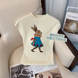 เสื้อกันหนาวแขนกุด ผ้าเรยอน ปักลาย สไตล์ฝรั่งเศส เรโทร เหมาะกับฤดูร้อน สําหรับผู้หญิง ABJW