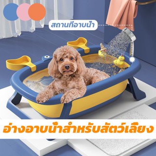 🐶พร้อมส่ง🛀อ่างอาบน้ำสำหรับสัตว์เลี้ยง อ่างอาบน้ำสุนัข แบบพับได้ ใช้งานทำง่าย  ทำความสะอาดง่าย แบบพกพา