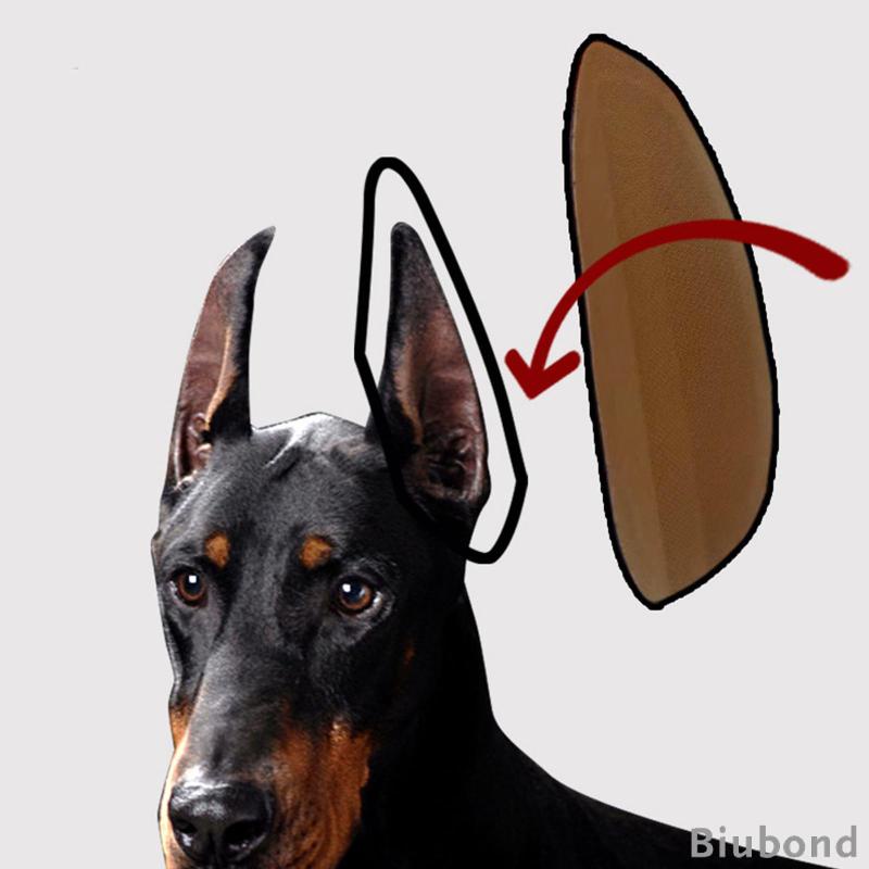 biubond-สติกเกอร์ติดหู-สําหรับสัตว์เลี้ยง-สุนัข-doberman-pinscher-samoyed