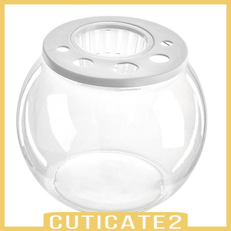 cuticate2-ชามปลา-แบบรูกลวง-diy-สําหรับตู้ปลา-หอพัก-ห้องนอน-คาเฟ่-ร้านอาหาร