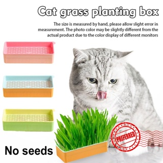 กล่องหญ้าไฮโดรโปนิก ระบายอากาศ ไม่มีกล่อง สําหรับปลูกต้นไม้ แมว L7O1