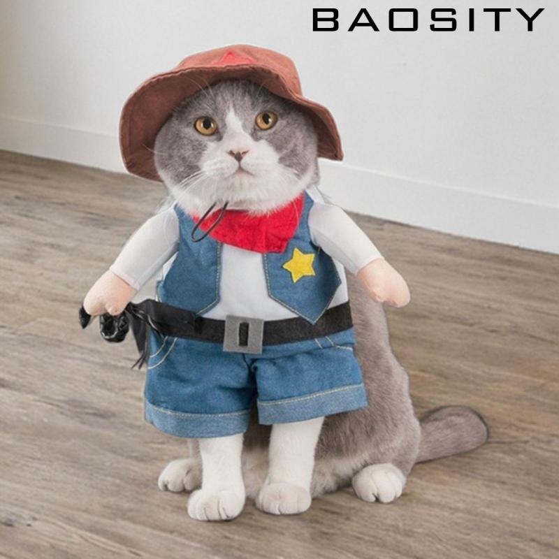 baosity-เครื่องแต่งกายคอสเพลย์-เทศกาลฮาโลวีน-สําหรับสัตว์เลี้ยง-สุนัข-แมว
