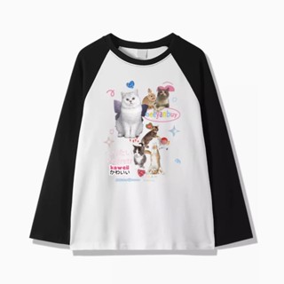 เสื้อยืดลําลอง แขนยาว คอกลม พิมพ์ลายแมวน่ารัก แฟชั่นฤดูใบไม้ร่วง สําหรับสตรี
