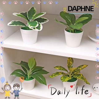 Daphne โมเดลพืชบอนไซจําลอง สําหรับตกแต่งบ้าน
