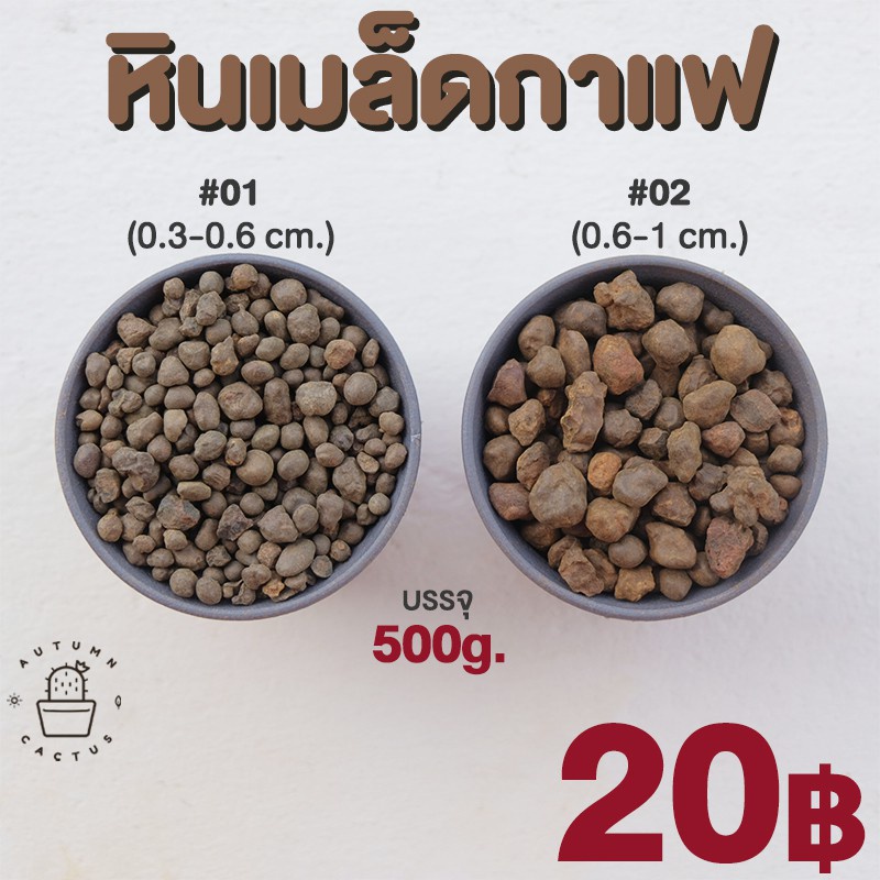 หินโรยหน้า-หินกระบองเพชร-หินเมล็ดกาแฟ-หินศิลาแลง-บรรจุ-500กรัม