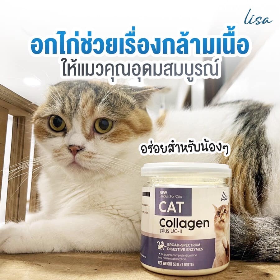 พร้อมส่ง-ส่งฟรี-lisa-cat-collagen-ผงโรยอาหารแมว-ลดขนร่วง-บำรุงขนสวย-มีสวนผสมจากผงไข่เต่า-วิตามินบีรวม-คอลลาเจน-60กรัม