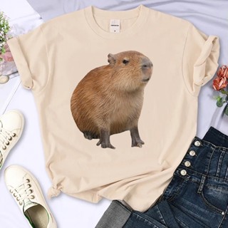 Capybara เสื้อยืด พิมพ์ลายอนิเมะ แฟชั่นฤดูร้อน สําหรับผู้หญิง y2k