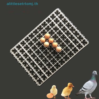 Alittlese ถาดเพาะไข่ไก่ สําหรับเครื่องฟักไข่เป็ด นกกระทา 1 ชิ้น