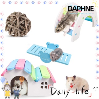 Daphne ลูกบอลไม้สีรุ้งขนาดเล็กของเล่นสําหรับสัตว์เลี้ยงหนูแฮมสเตอร์