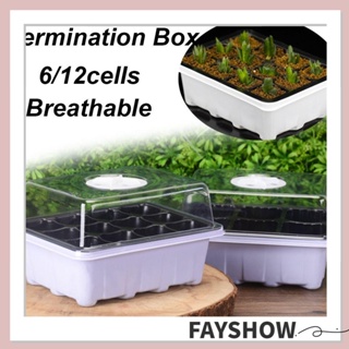 Fay กล่องปลูกพืชเรือนกระจก พลาสติก ระบายอากาศ ขนาดเล็ก 6 12 ช่อง สําหรับปลูกพืช เพาะปลูกในออฟฟิศ