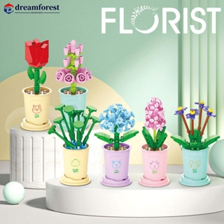 Dreamforest กระถางต้นไม้ ดอกไม้ 12 ราศี ของเล่น ของขวัญวันเกิด วันวาเลนไทน์ สําหรับเด็กผู้หญิง S3X3