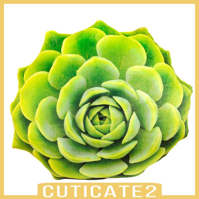 cuticate2-หมอนโซฟาจําลอง-20-นิ้ว-สําหรับตกแต่งบ้าน-ออฟฟิศ