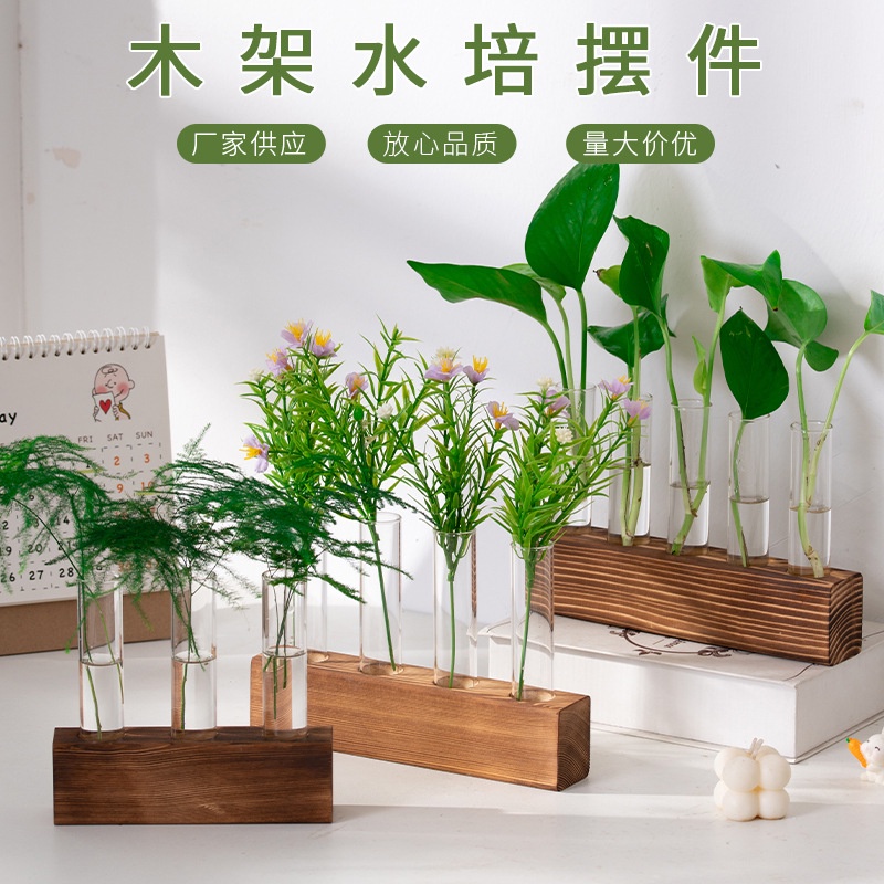 spot-second-hair-wooden-rack-hydroponic-transparent-glass-test-tube-bottle-creative-indoor-desktop-hydroponic-green-plant-container-simple-test-tube-insert-vase-8cc