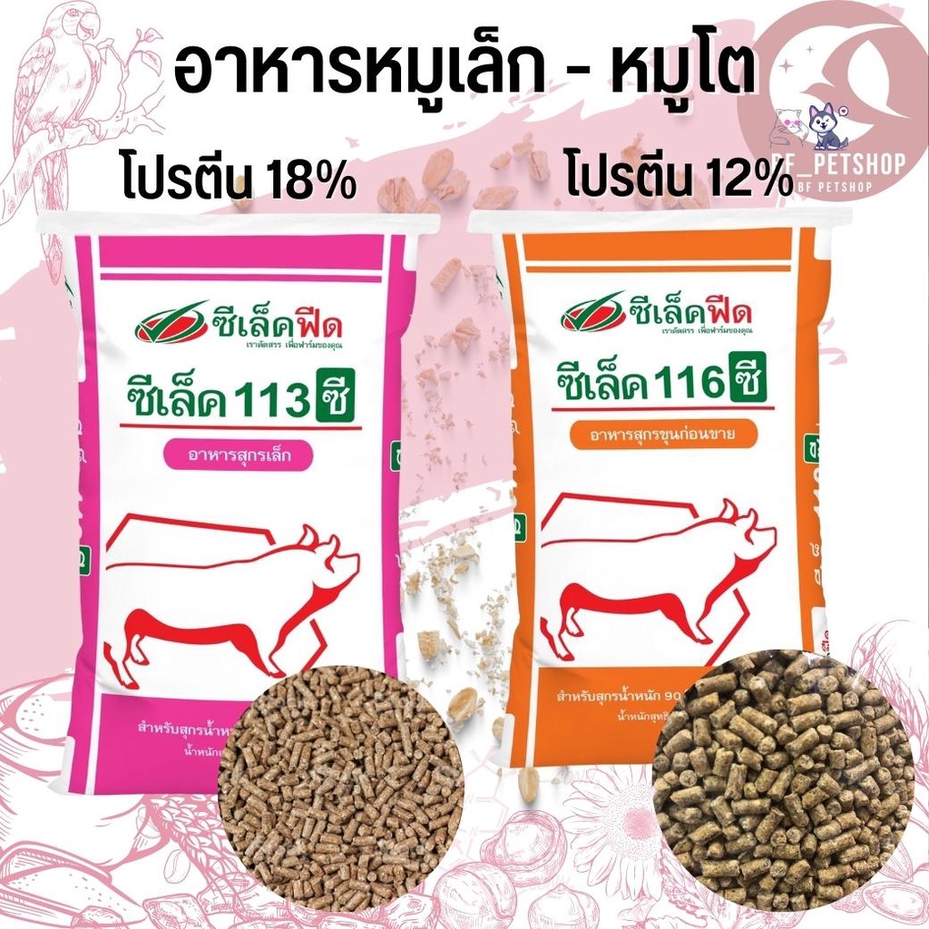 อาหารหมู-ซีเล็คฟีด-ซีเล็ค-113ซี-116ซี-แบ่งขาย-500g-1kg