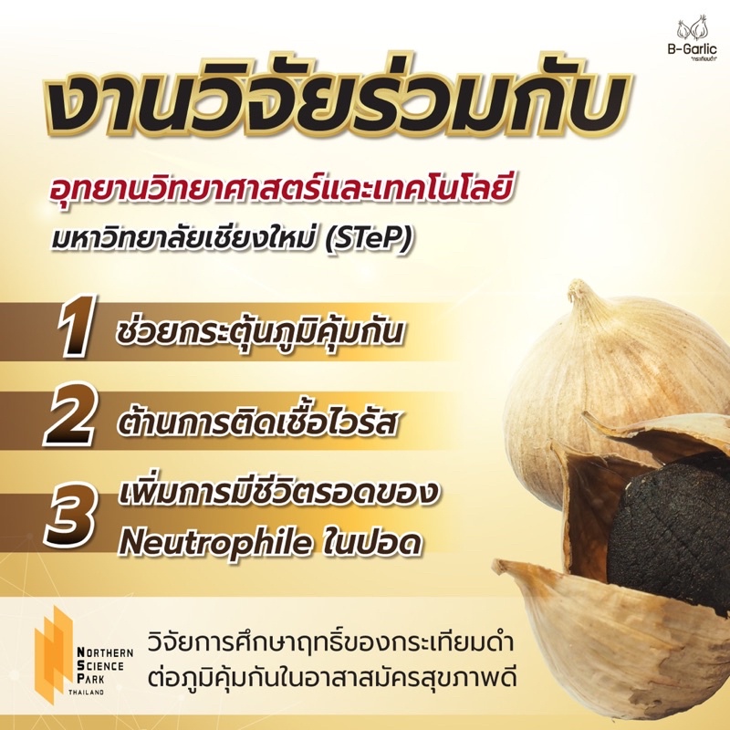 b-garlic-กระเทียมดำ-แบบมีเปลือก-ขนาด-500-กรัม-ของแท้