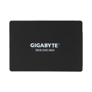 256 GB SSD SATA GIGABYTE (GSTFS31256GTND-1.1)