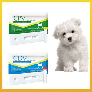 [Daliya] ชุดทดสอบสุขภาพสัตว์เลี้ยง สุนัข แมว สําหรับ Canine Distemper Virus CDV & Parvovirus CPV