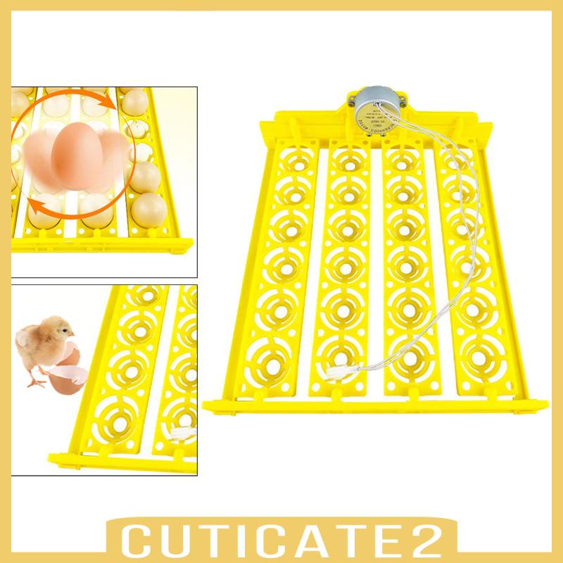 cuticate2-ถาดหมุนไข่อัตโนมัติ-24-ฟอง-สําหรับไก่-นกกระทา