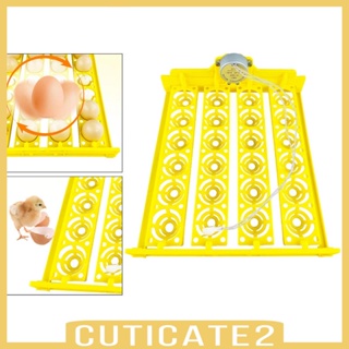 [Cuticate2] ถาดหมุนไข่อัตโนมัติ 24 ฟอง สําหรับไก่ นกกระทา