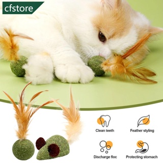 Cfstore ลูกบอลขนนก ทําความสะอาดตัวเอง ของเล่นสําหรับสัตว์เลี้ยง แมว I6P1