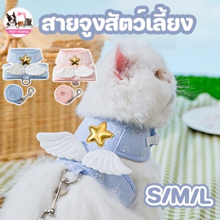 💟COD😻สายจูงแมว สายรัดอกสุนัข สายจูงสัตว์เลี้ยง ป้องกันไม่ให้หลุด ปีกนางฟ้า เชือกจูงสุนัข สายจุงแมว