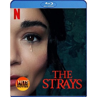 Bluray บลูเรย์ The Strays (2023) คนหลงทาง (เสียง Eng /ไทย | ซับ Eng/ไทย) Bluray บลูเรย์