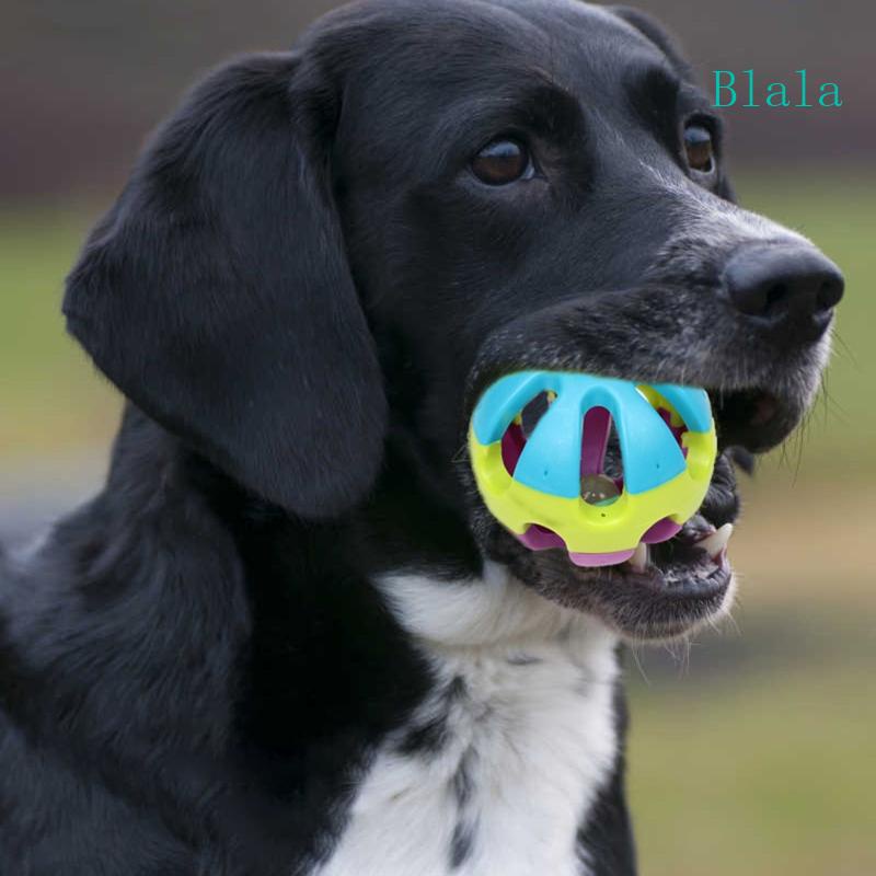 blala-ลูกบอลพลาสติก-สีสันสดใส-พร้อมกระดิ่ง-สําหรับสัตว์เลี้ยง-สุนัข