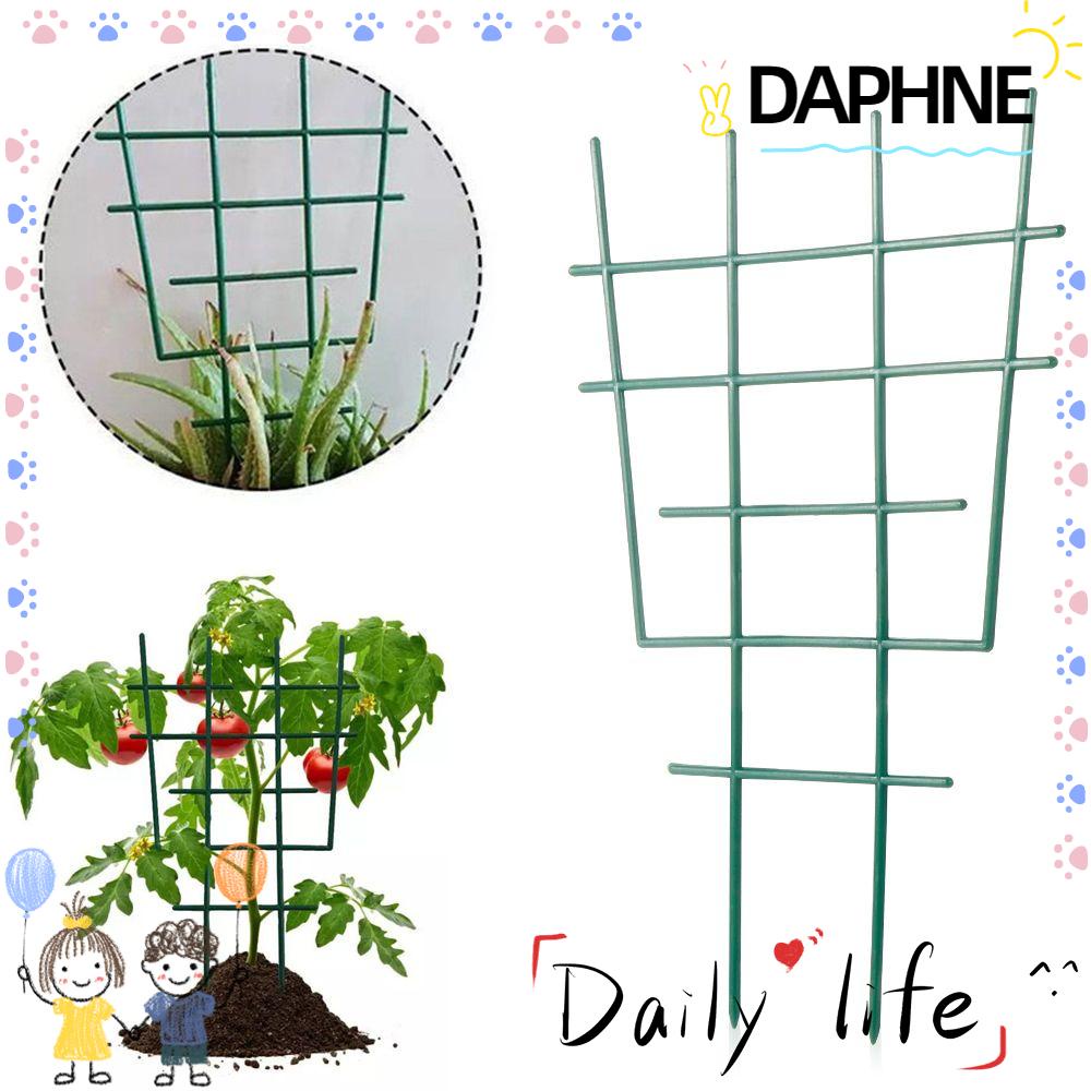 daphne-ใหม่-โครงไม้เลื้อย-เถาวัลย์-สีเขียว-สําหรับปลูกต้นไม้-ดอกไม้