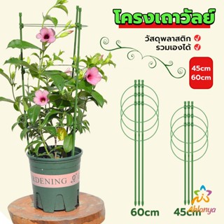 Ahlanya โครงเถาวัลย์ เสามะเขือเทศ โครงปลูก อุปกรณ์สำหรับพืชไม้เลื้อย 45cm 60cm plant trellis