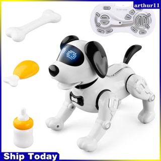 Arthur Jjrc R19 หุ่นยนต์อิเล็กทรอนิกส์ ควบคุมระยะไกล ของเล่นสําหรับสัตว์เลี้ยง สุนัข