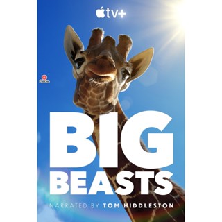 DVD Big Beasts (2023) 10 ตอน (ตอนที่ 3 ไม่มีซับ ไทย) (เสียง อังกฤษ | ซับ ไทย/อังกฤษ) หนัง ดีวีดี