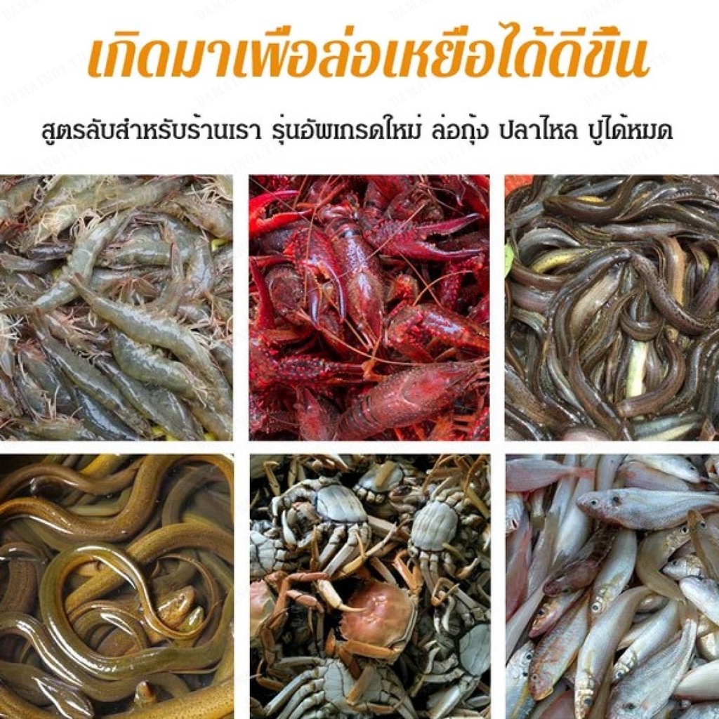 เอสเซนส์ปลาไหล-กุ้ง-สําหรับล่อปลาไหล-ปลาไหล-ปลาดุก