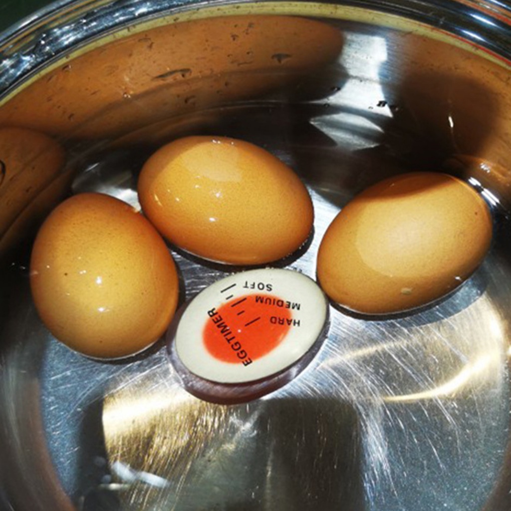 bologna-หม้อหุงข้าวไข่-น้ําหนักเบา-สําหรับห้องครัว-ไข่ต้มแข็ง-ตัวจับเวลา-ทนความร้อน