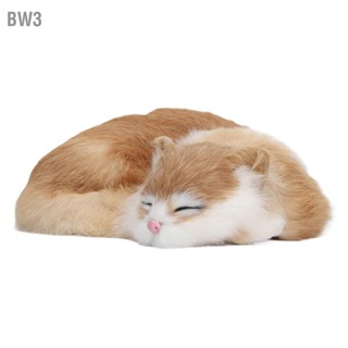 BW3 Furry Sleeping Cat Figurine การจำลองที่สมจริง Fluffy ตกแต่ง Plush Model สำหรับโฮมออฟฟิศ