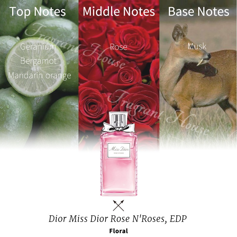 100-สปอตของแท้-จัดส่งที่รวดเร็ว-dior-miss-dior-rose-nroses-edp-5ml-10ml