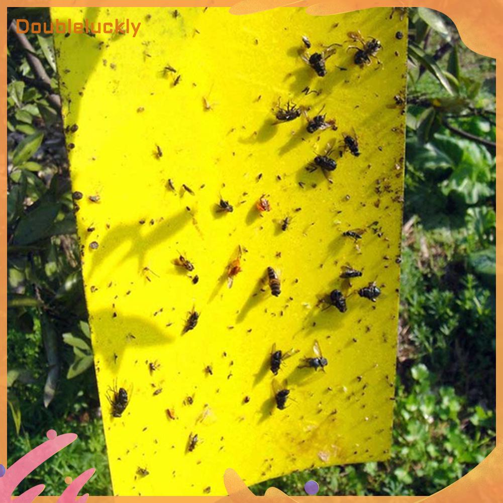 50pcs-set-strong-flies-traps-bugs-sticky-board-catching-aphid-insects-killer-pest-control-whitefly-thrip-leafminer-glue-sticker