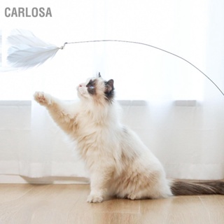 CARLOSA Cat Teaser ลวดเหล็กยืดหยุ่น Rod Interactive Feather Pole ของเล่นสำหรับแมวในร่มที่เบื่อ Chase และการออกกำลังกาย